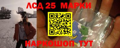 спиды Новодвинск