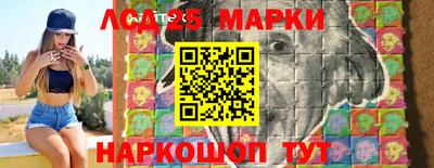 СК Новозыбков