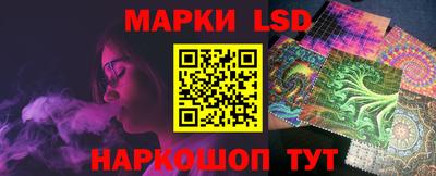 СК Новозыбков