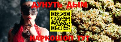 спиды Новодвинск