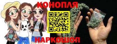 СК Новозыбков