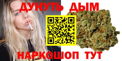 спиды Новодвинск