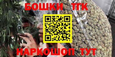 СК Новозыбков