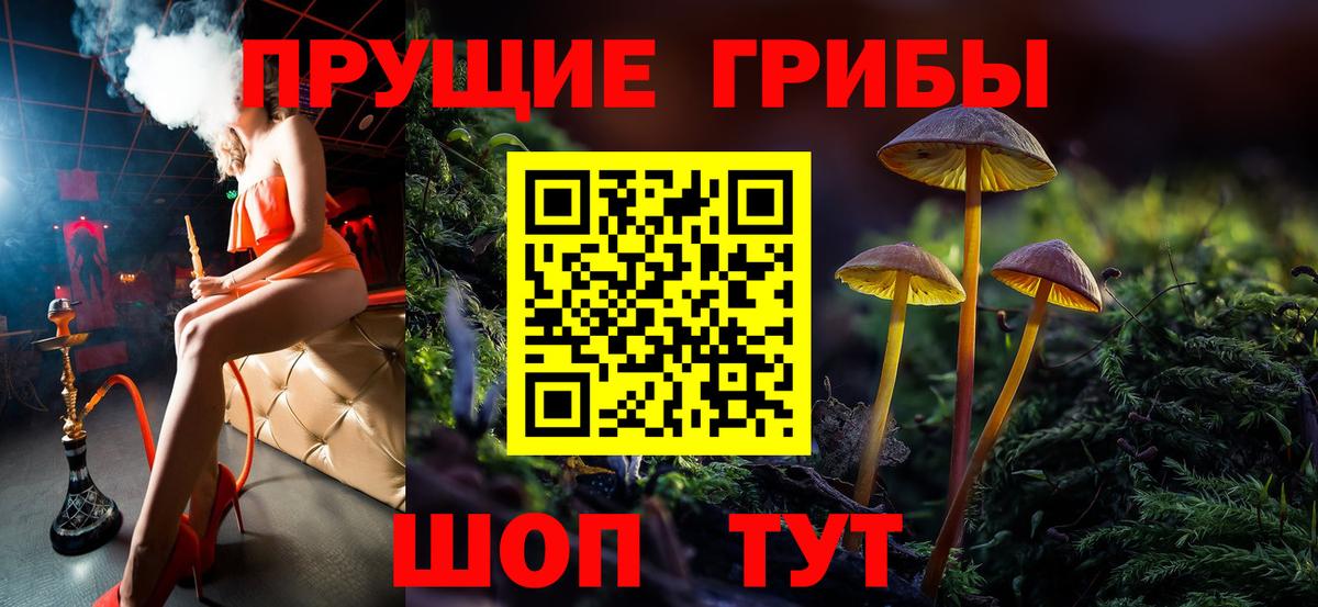 ГАШ Торжок