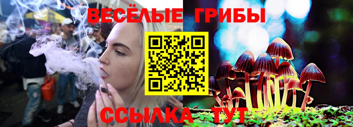 Галлюциногенные грибы Magic Shrooms  Вход с VPN  Торжок 